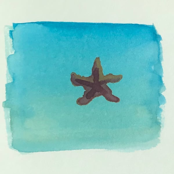 Starfish - September 2020